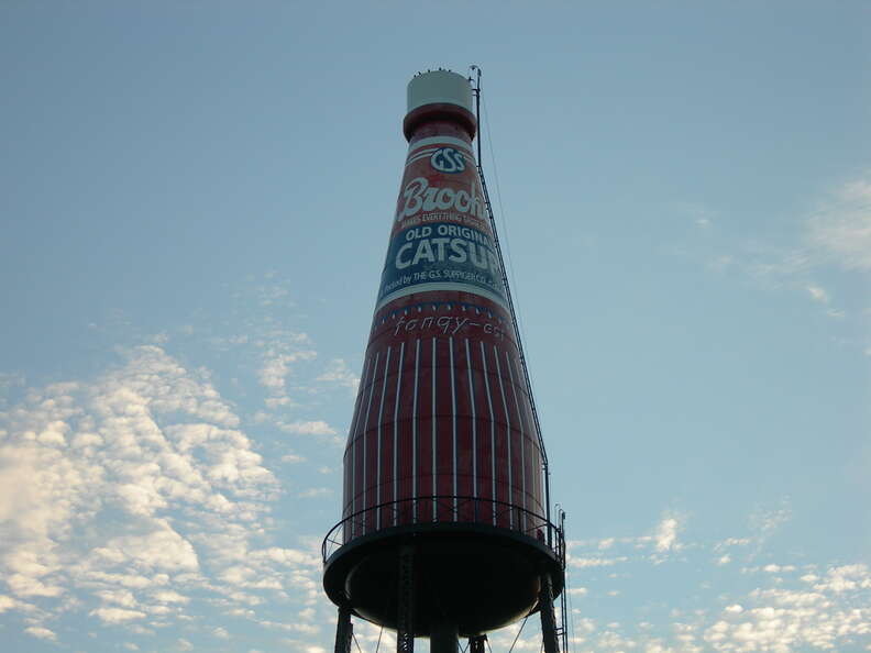 The world's largest catsup bottle 
