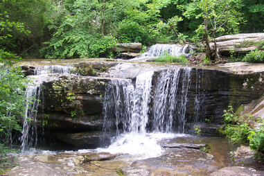 Shawnee National Forest in Illinois