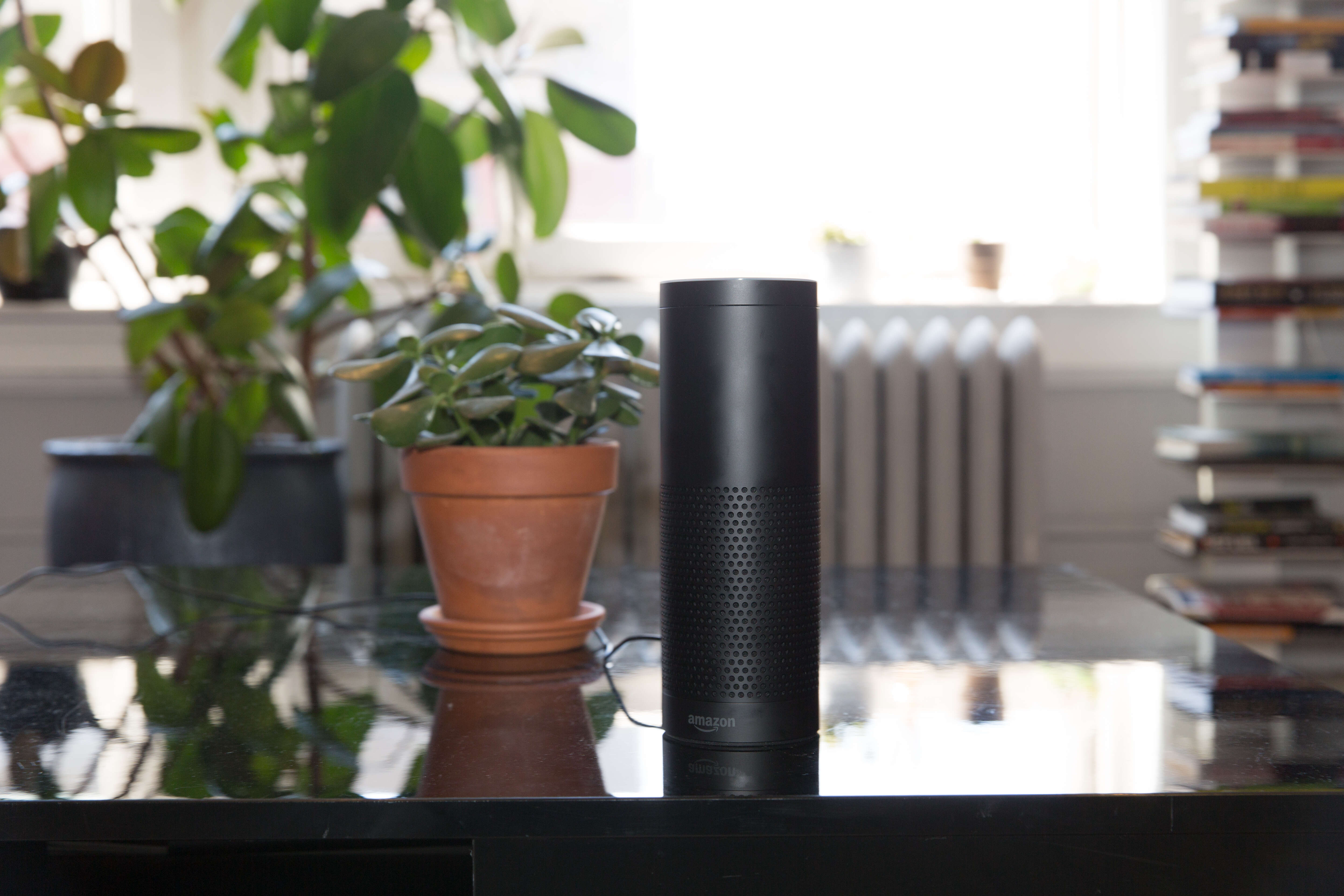 amazon echo on coffee table in living room