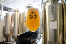 20 Colorado Beers We're Crazy About Drinking This Summer