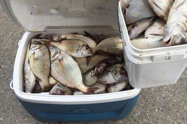 Jack’s Bait and Tackle