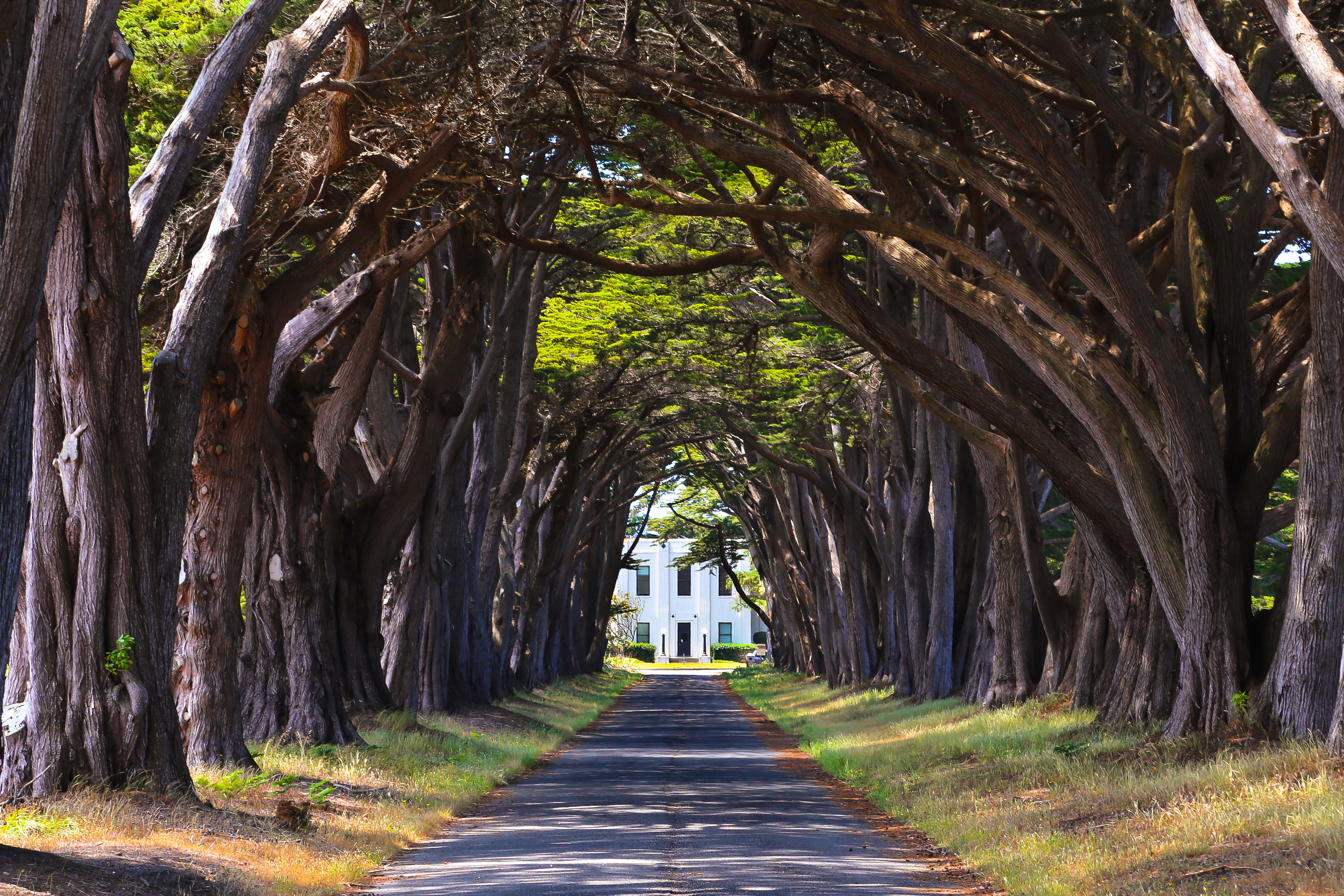 Actually Cool Things You Can Do in Northern California