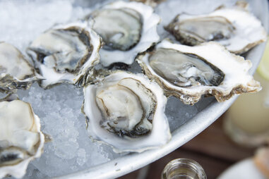 Oysters at Hog Island Oyster Co.