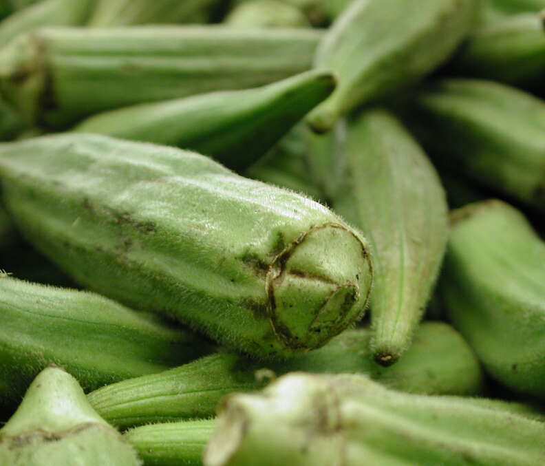 okra new orleans