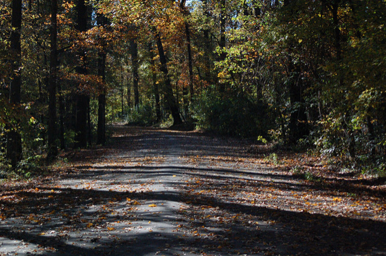 Best & Most Beautiful Hiking Trails Around Memphis Thrillist