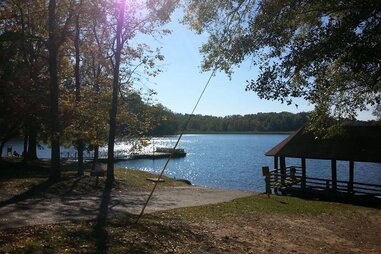 Meeman-Shelby lakeside