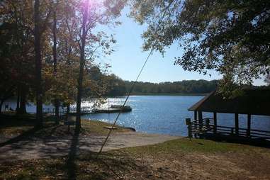 Meeman-Shelby lakeside