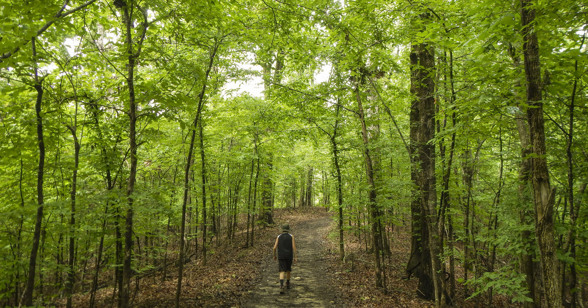 Best & Most Beautiful Hiking Trails Around Memphis Thrillist