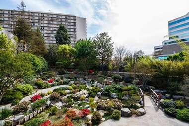 James Irvine Japanese Garden