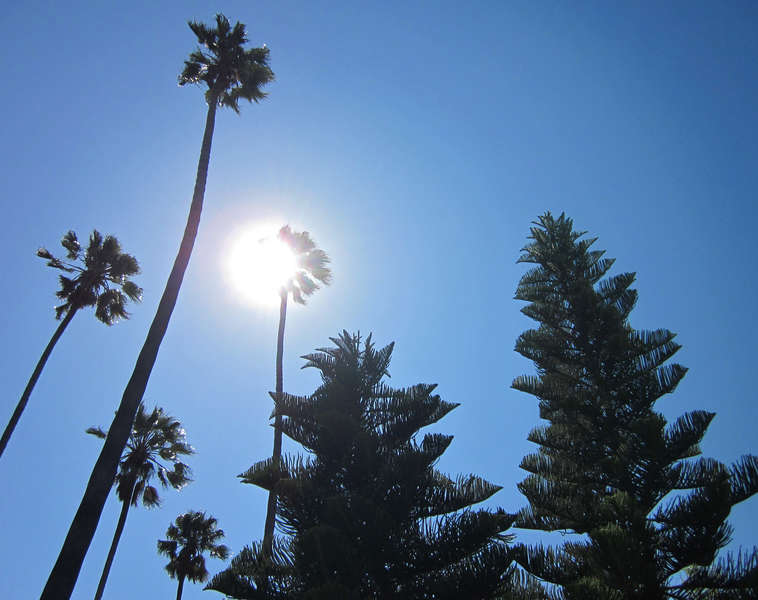 Los Angeles Restaurants & Shops with Coldest Air Conditioning Thrillist