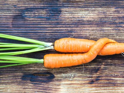 two carrots
