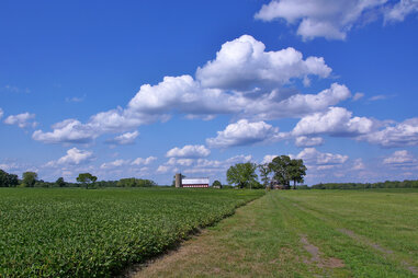 Farm in Prince William County, Virginia