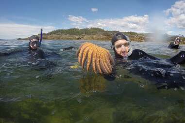 Snorkeling in Alaska