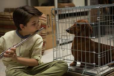 wiener-dog - best movies of the year