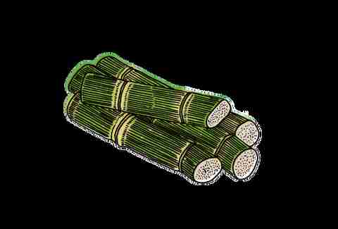 Cachaça 101 The Ultimate Guide To The Best Cachaçaand Cachaça 101 The Ultimate Guide To The Best Cachaçaand