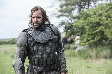 the hound sandor clegane rory mccann game of thrones