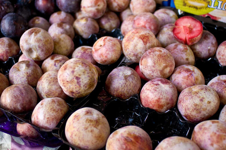 plumcot pluot