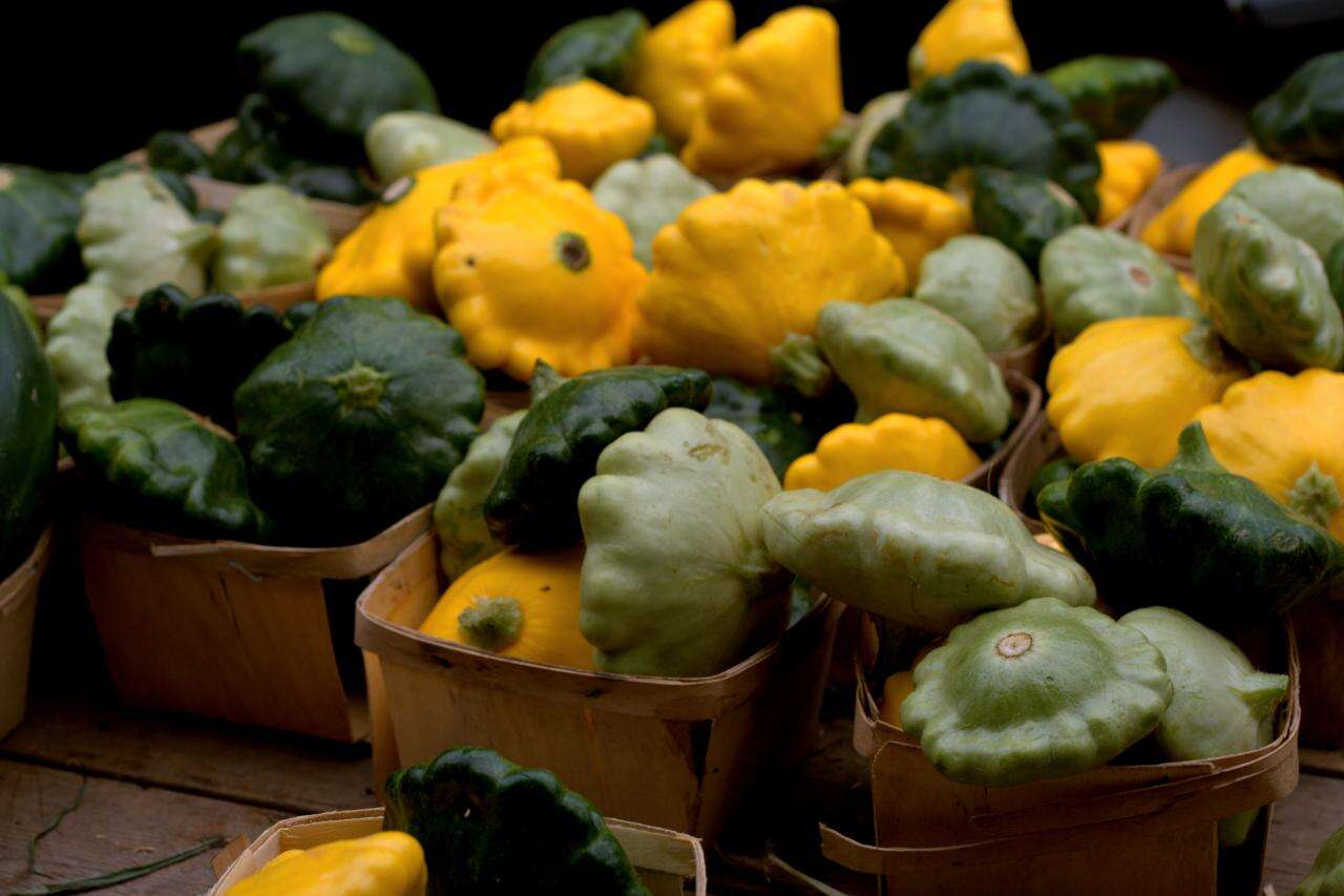 pattypan squash