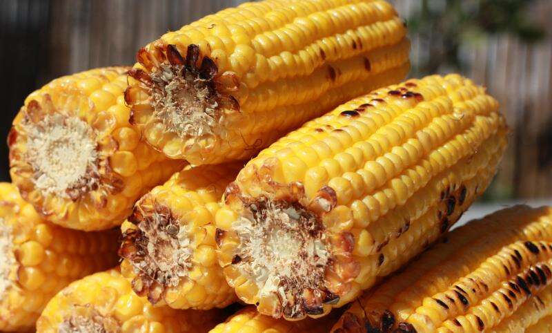 grilled corn on the cob