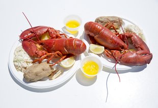 11 Foods You'd Be Stupid Not to Eat in July