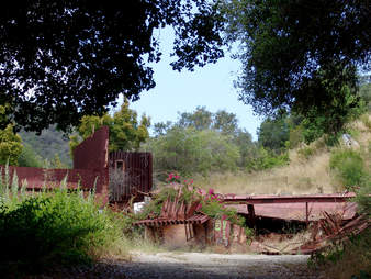 murphy ranch