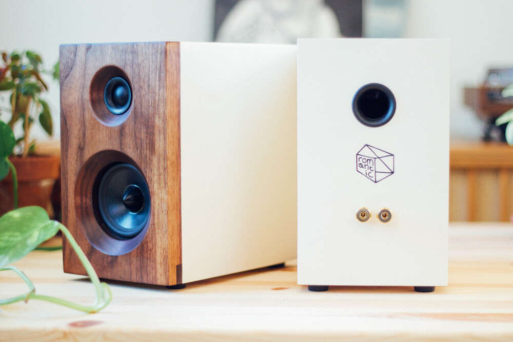 salvage audio speakers