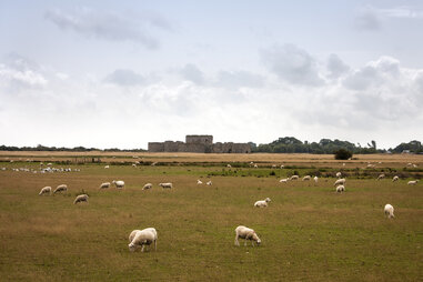 Camber Castle