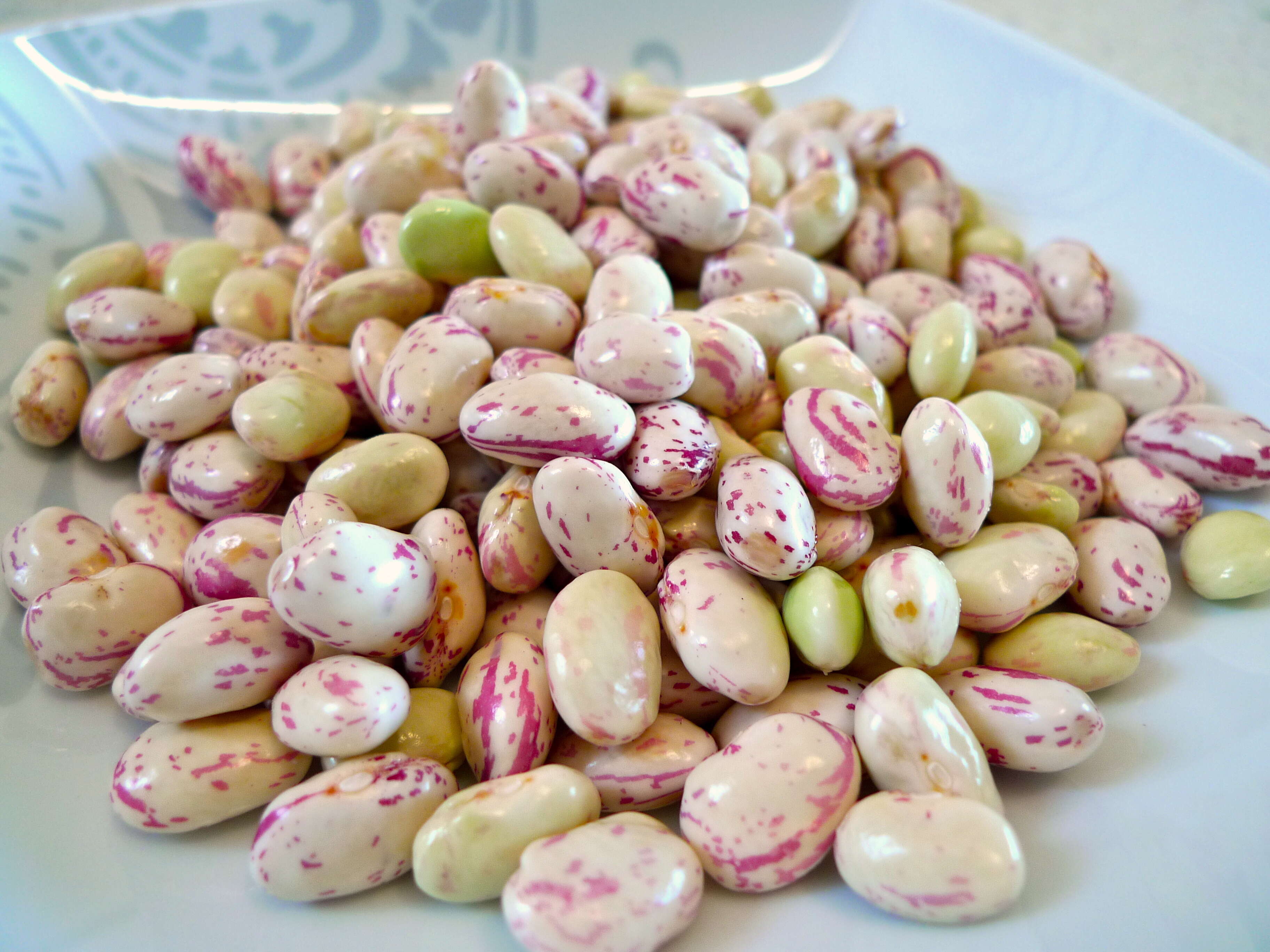 cranberry beans