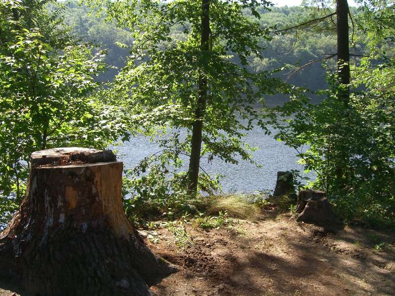 dingmans-campground-a-other-in-dingmans-ferry-pa-thrillist