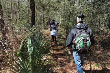 Sam Houston State Park hiking