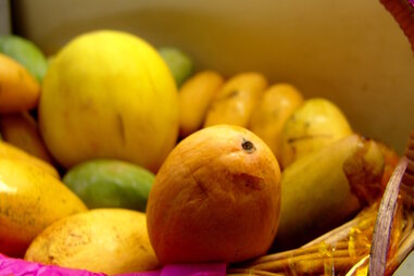 mangoes