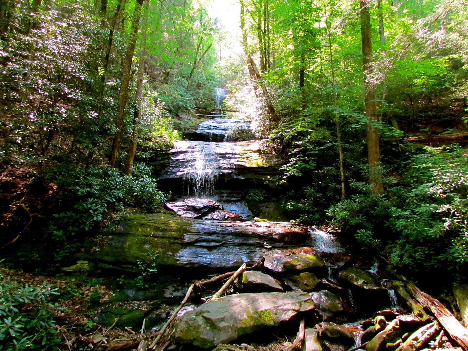 Best Waterfalls on Hiking Trails Near Atlanta, GA - Thrillist