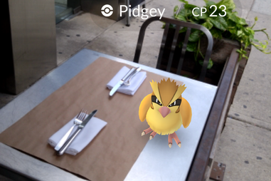 Pidgey in Pokemon Go