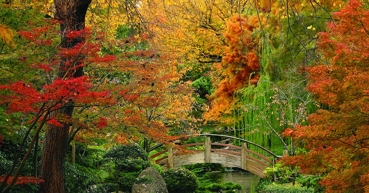 America's 15 Top Botanical Gardens Thrillist