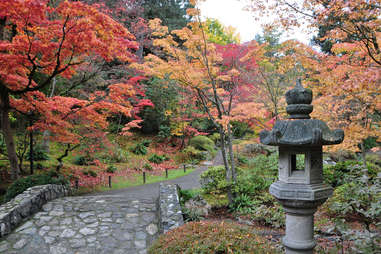 a Japanese lantern and path leading through foliage