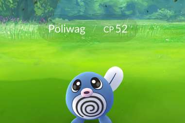 Poliwag capture in Pokemon Go