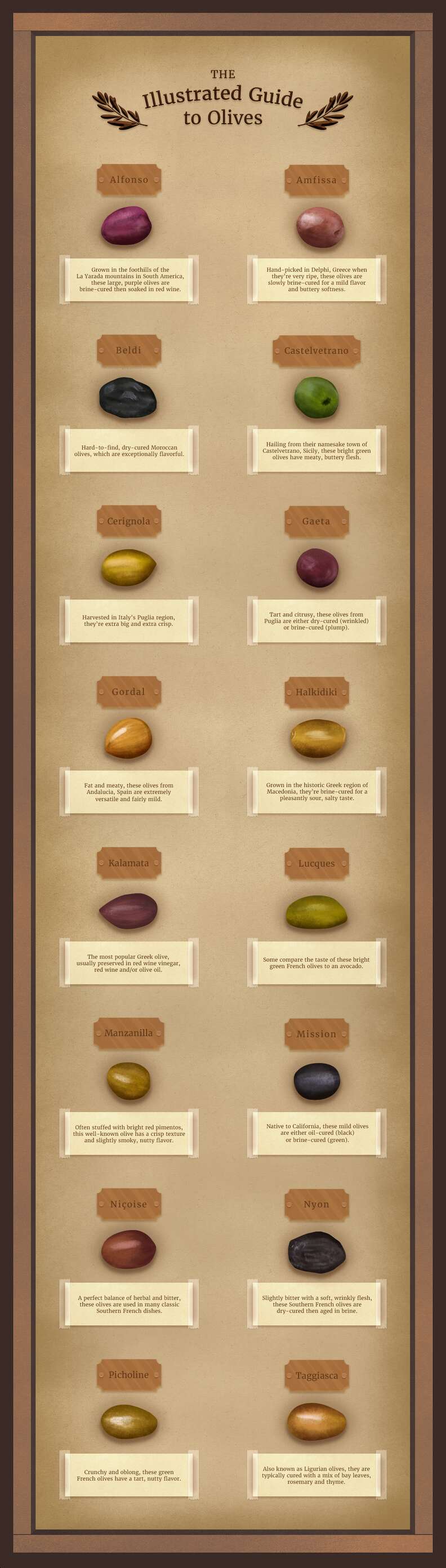 A Guide to All the Different Types of Olives - Thrillist