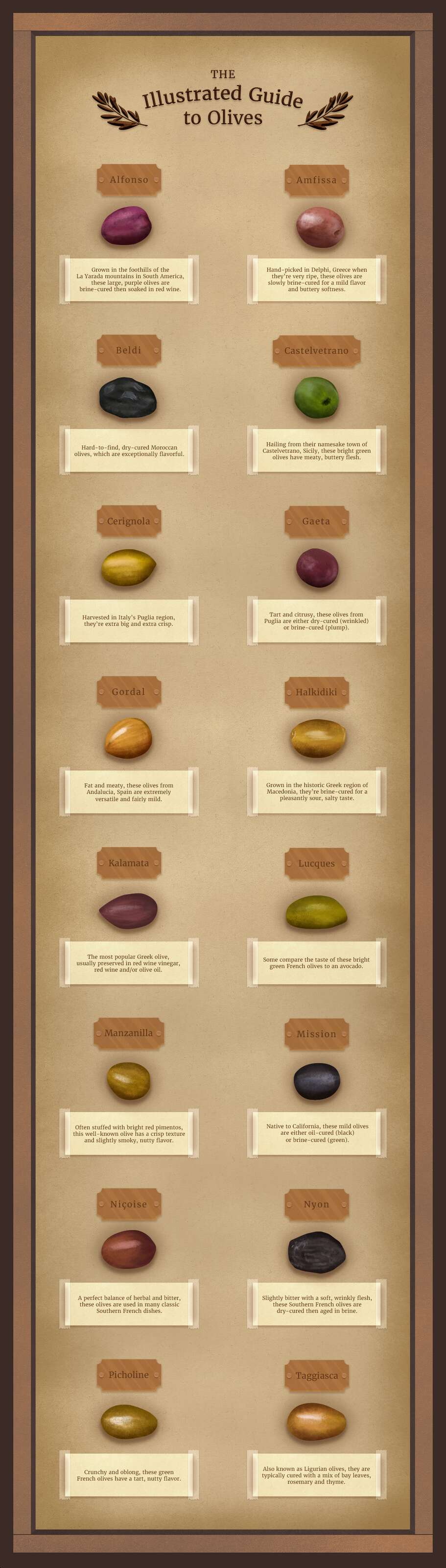 List Of Different Olives at Bennie Morris blog