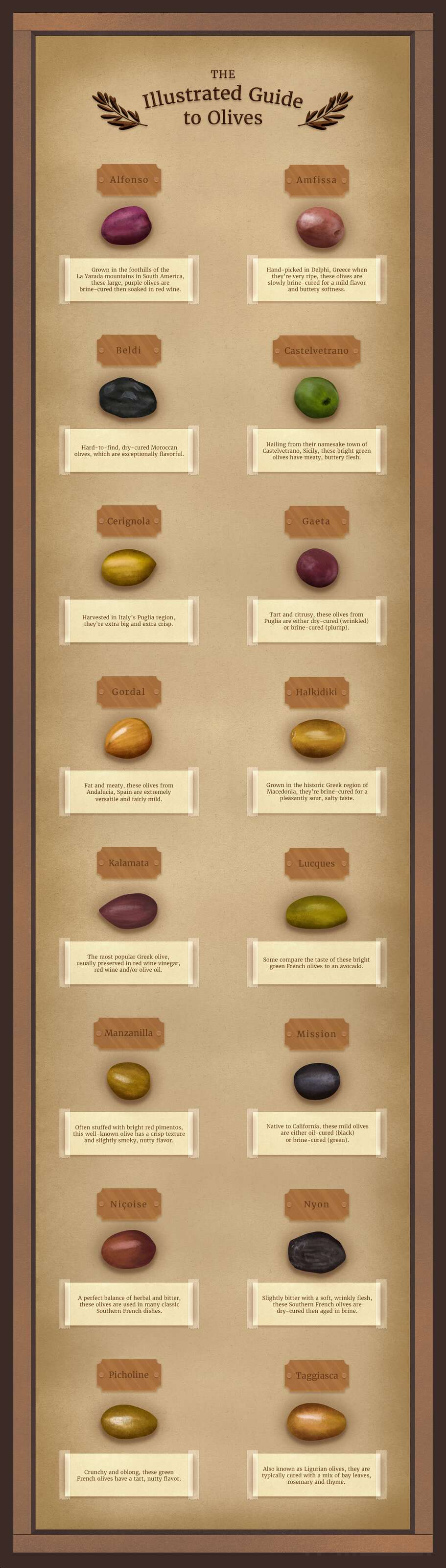 A Guide to All the Different Types of Olives Thrillist