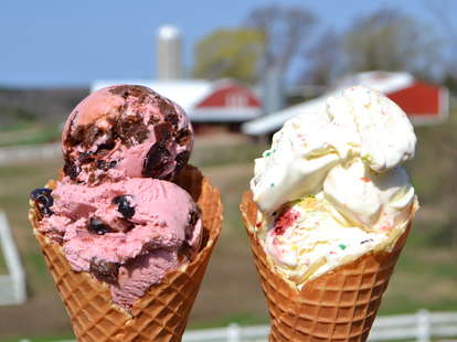 Creamiest Homemade Chocolate Ice Cream - Carve Your Craving