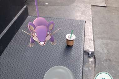 pokemon go