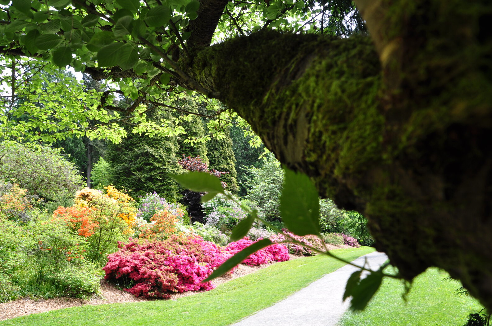 Beautiful Running Routes in Seattle - Best Places to Run - Thrillist