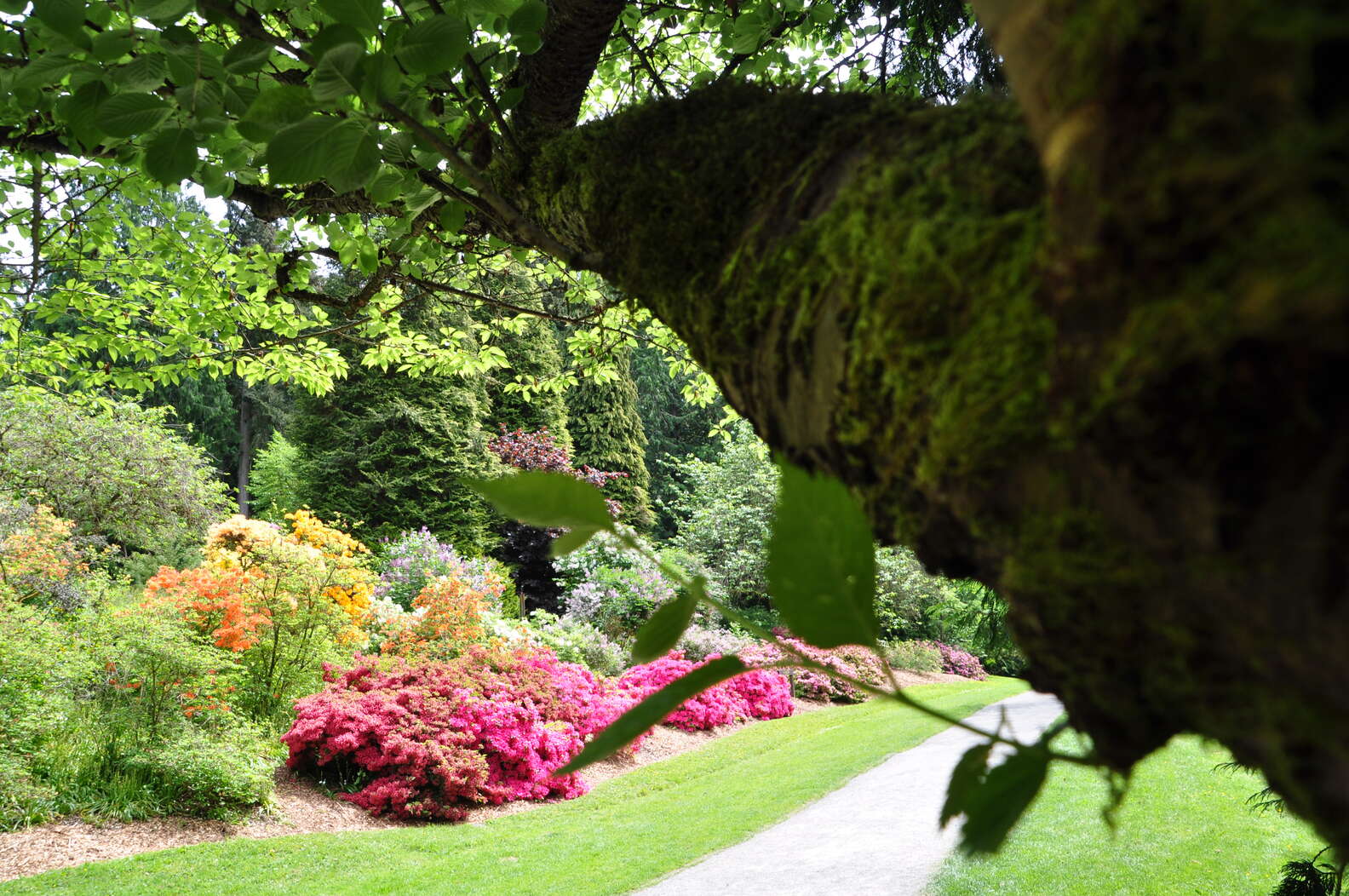 Beautiful Run Routes Beautiful Running Routes in Seattle - Best Places to Run - Thrillist