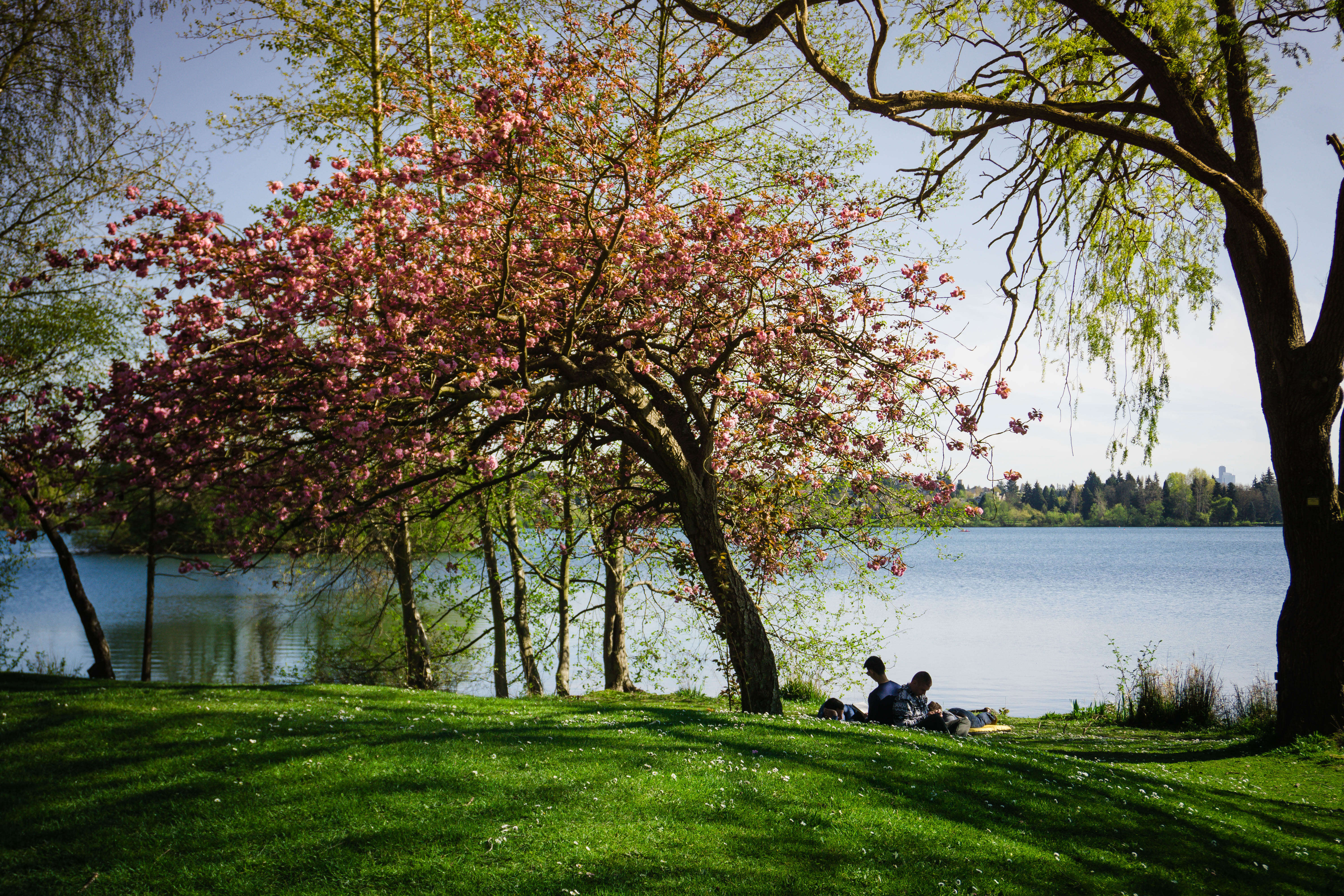 Green Lake Seattle Washington