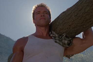 Commando Arnold Forest