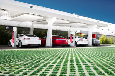 Tesla’s Ordering Process Isn’t Ideal