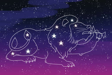 leo constellation 