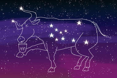 taurus constellation 