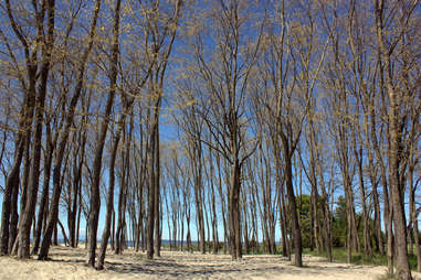 golden gardens park