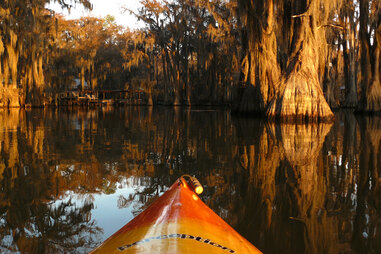 Kayaking Caddo lake Texas